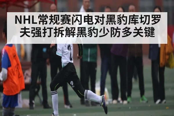 NHL常规赛闪电对黑豹库切罗夫强打拆解黑豹少防多关键